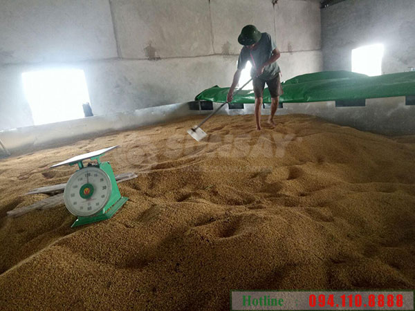 Lắp đặt máy sấy lúa 10 tấn Tại Thái Bình