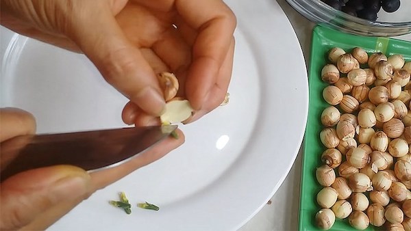 Cách bóc vỏ hạt sen bằng tay 
