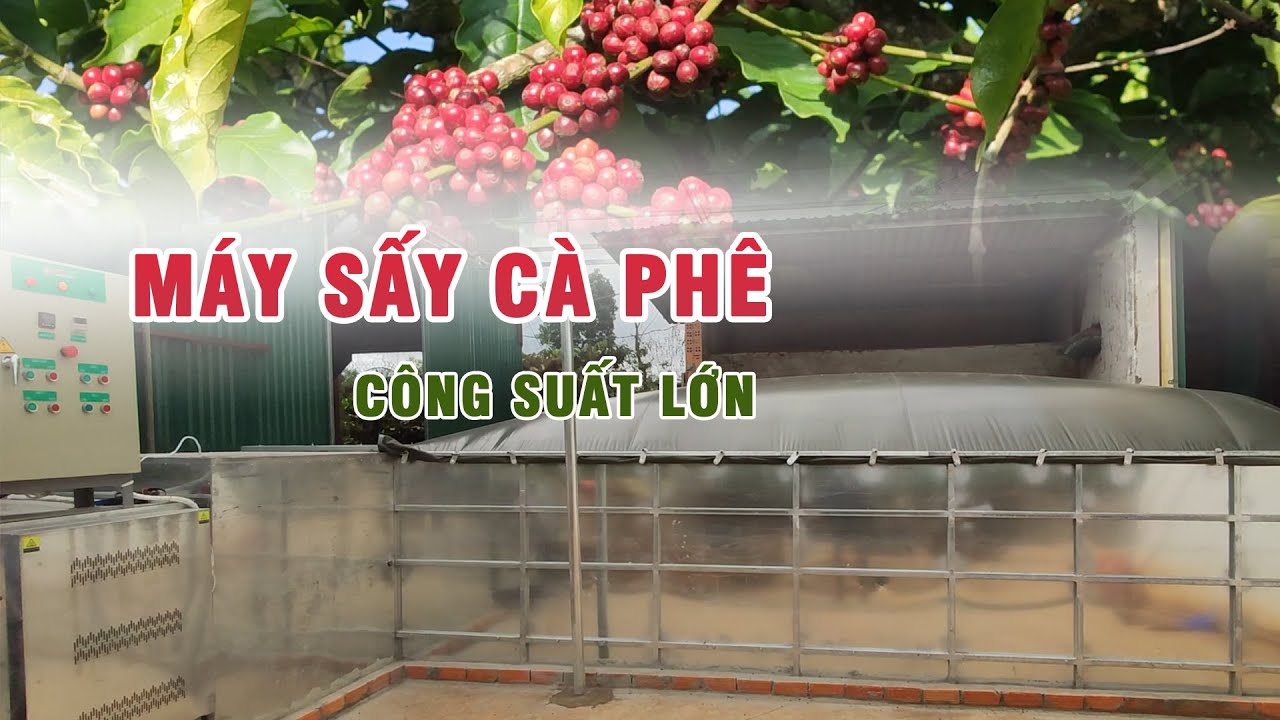 Máy sấy cà phê 5 tấn