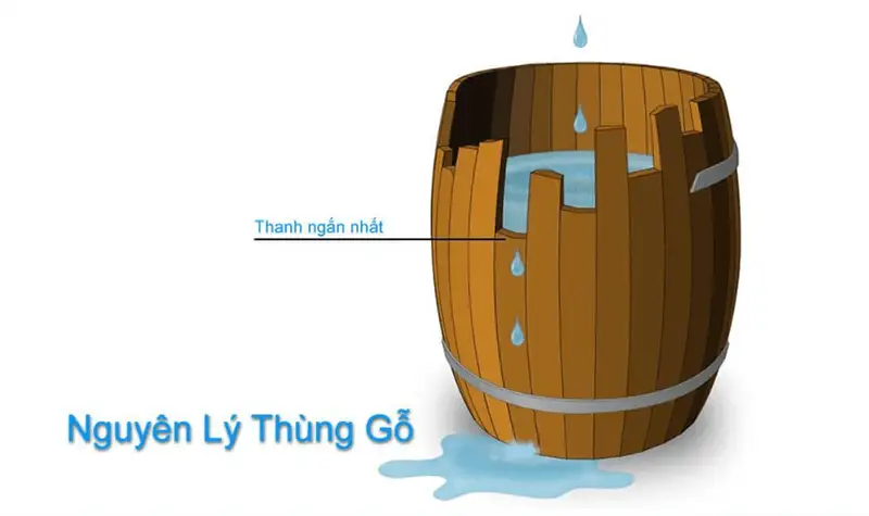 Nguyên lý thùng gỗ: Bài học về phát triển bản thân và đội nhóm KNXerv
