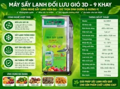 Máy sấy lạnh đối lưu gió 3D 9 khay