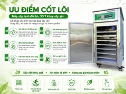 Ưu điểm nổi bật của máy sấy lạnh đối lưu 7 khay