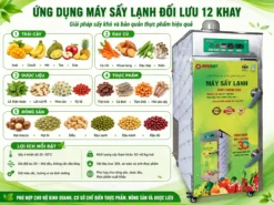 Ứng dụng đa dạng của máy sấy lạnh đối lưu 12 khay, rất phù hợp cho kinh doanh trái cây sấy