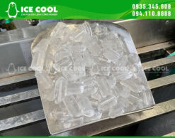 Đá viên được làm từ máy đá viên ICE COOL
