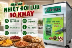 Sấy nhiệt 10 khay