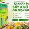 Sấy nhiệt 12 khay mini