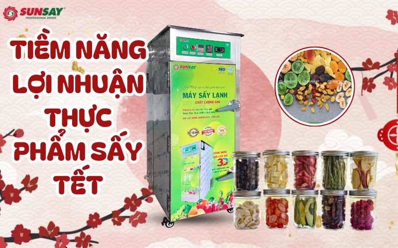 Tiềm năng lợi nhuận thực phẩm sấy Tết mà bạn cần biết để kinh doanh sinh lời