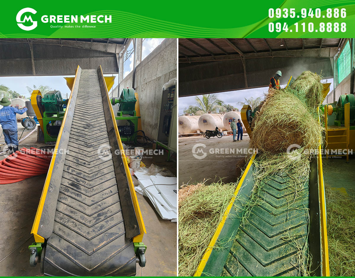 Băng tải cấp liệu cho dây chuyền nghiền rơm