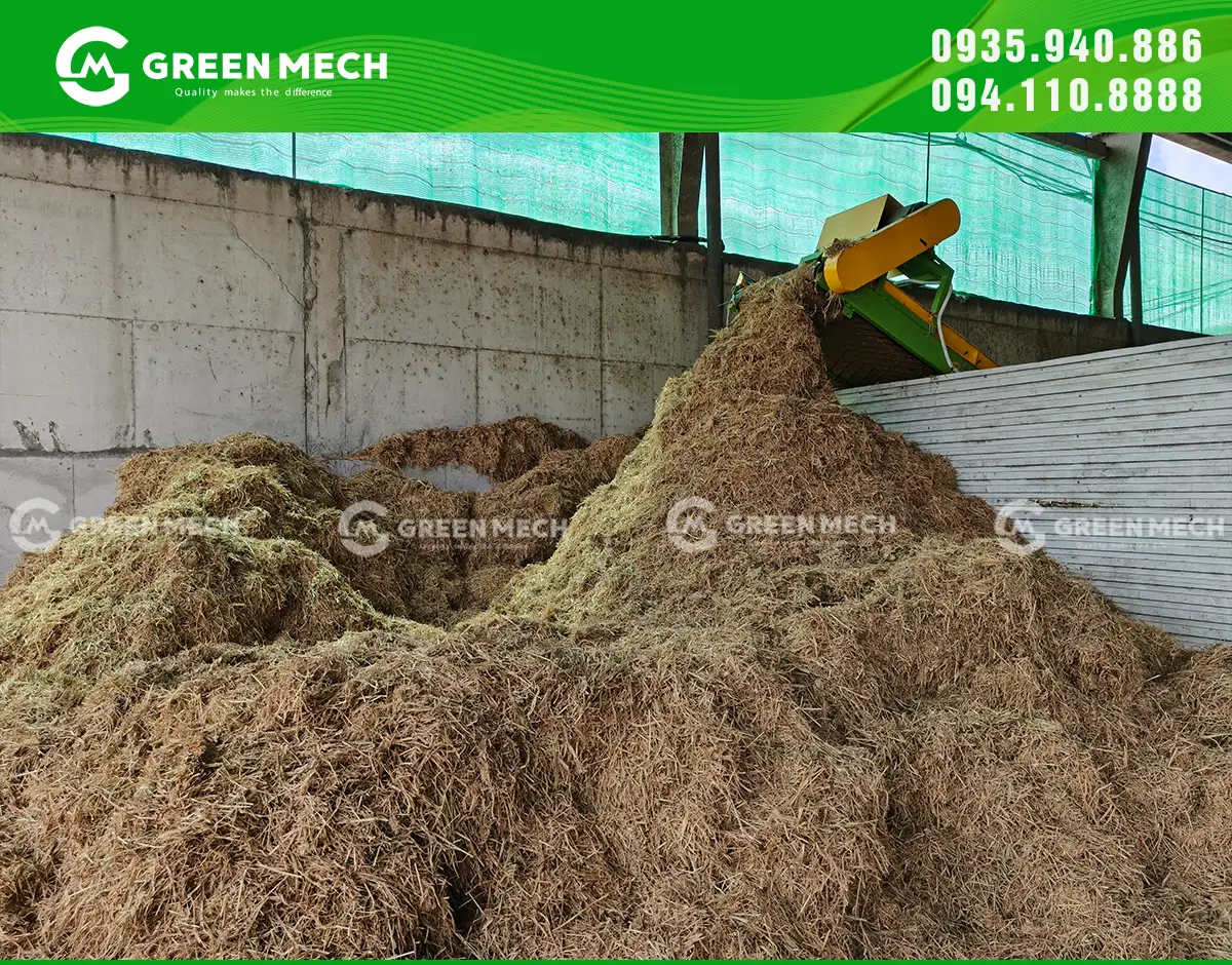 Nhờ ứng dụng máy nghiền, trang trại tiết kiệm chi phí mua thức ăn thô