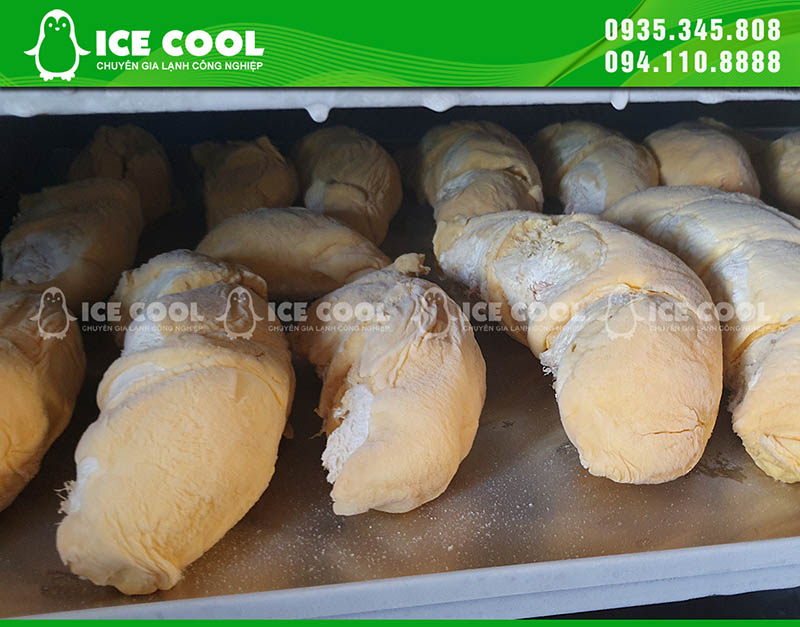 Sầu riêng cấp đông nhanh, giữ nguyên hương vị, bảo quản lâu dài