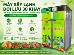 Máy sấy lạnh đối lưu 30 khay có thiết kế đẹp
