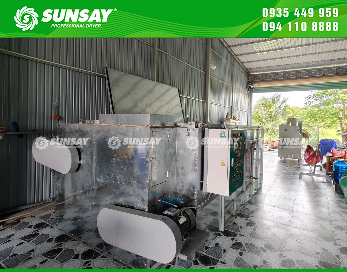 Sấy lúa bằng máy sấy vĩ ngang SUNSAY không lo về thời tiết