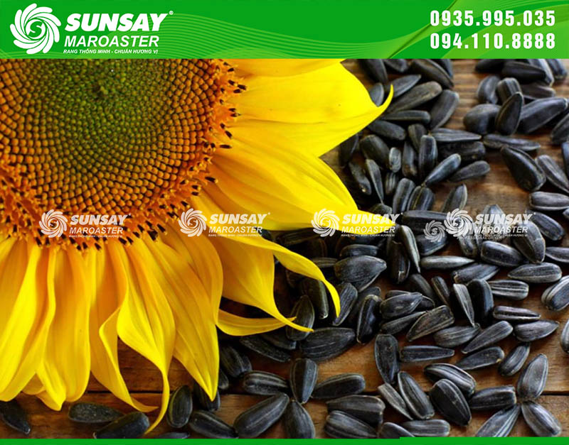 Hạt hướng dương rang bằng máy rang SUNSAY MAROASTER không ám khói và đảm bảo an toàn vệ sinh thực phẩm cho người tiêu dùng