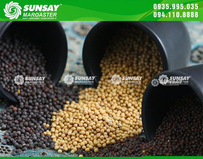 Hạt mù tạt rang bằng SUNSAY MAROASTER không chỉ thơm hơn mà còn khô giòn, sạch mùi khét, phù hợp cho chế biến gia vị và thực phẩm cao cấp