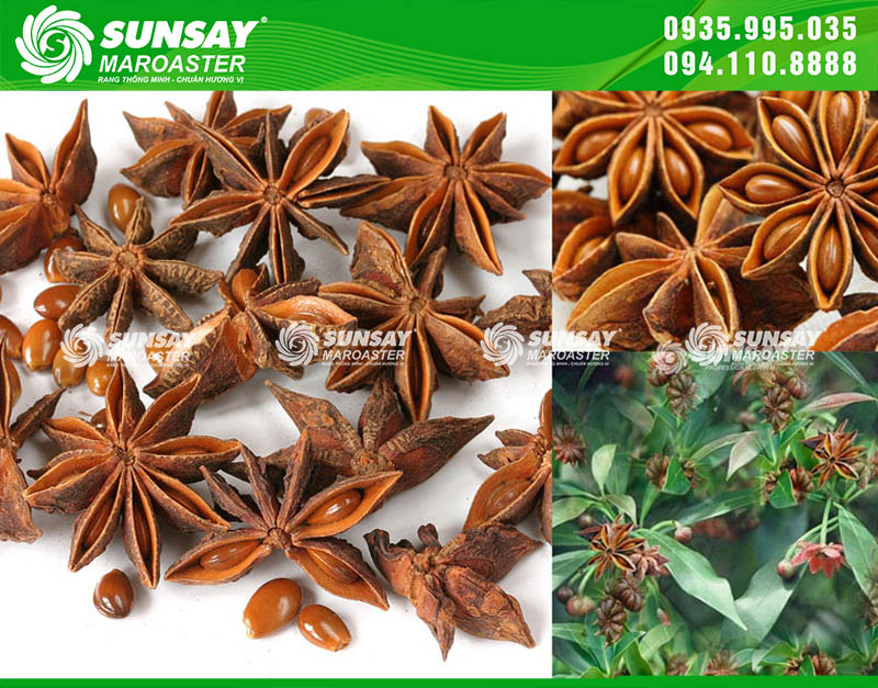 Hoa hồi rang đúng độ cho mùi thơm ngọt ấm, lan chậm nhưng sâu, tạo dấu ấn rất riêng cho món ăn và gia vị truyền thống