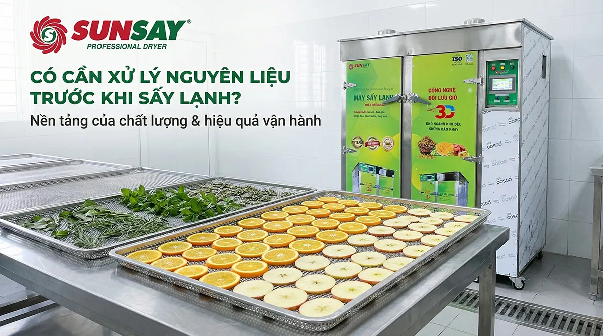 Nhiều người mới bắt đầu thường băn khoăn rằng có cần xử lý nguyên liệu trước khi sấy không, và thực tế cho thấy đây là bước quan trọng ảnh hưởng trực tiếp đến chất lượng thành phẩm