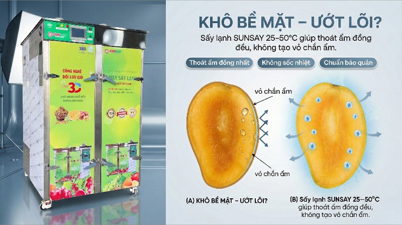 Khô bề mặt nhưng ướt lõi là hiện tượng phổ biến trong sấy thực phẩm khi quá trình thoát ẩm không được kiểm soát đồng đều từ trong ra ngoài