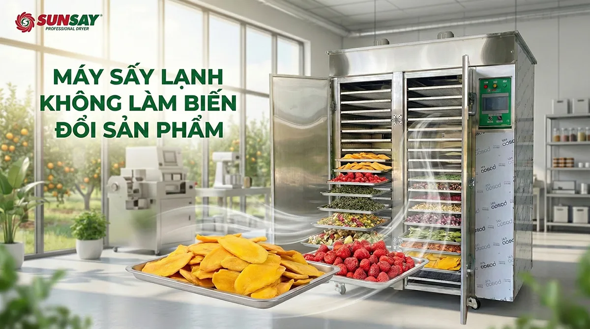 Máy sấy lạnh không làm biến đổi sản phẩm là lựa chọn lý tưởng để giữ nguyên màu sắc, hương vị và giá trị dinh dưỡng trong từng mẻ sấy.