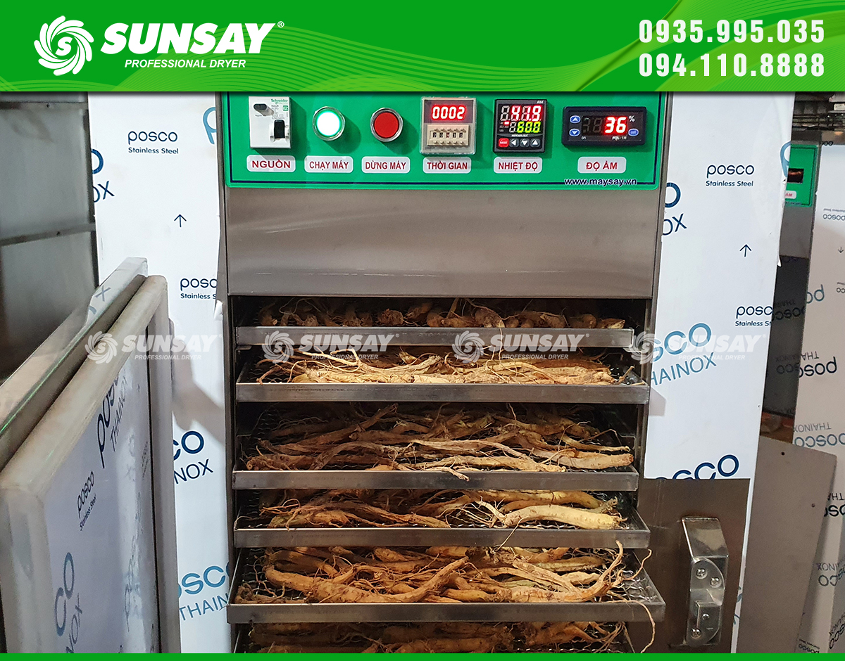 Sâm sấy khô đều mà không cần đảo trở khay nhờ công nghệ sấy đối lưu gió 3D