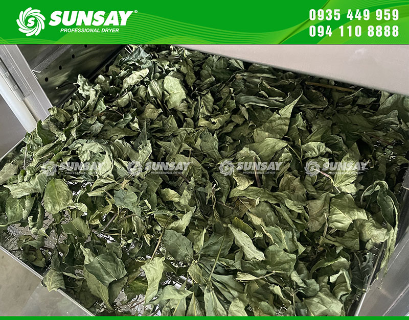 Sấy lạnh giúp giữ màu, giữ mùi và giữ giá trị tự nhiên của thực phẩm sau sấy.