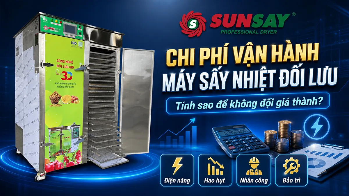 Chi phí vận hành máy sấy nhiệt đối lưu cần được tính đầy đủ từ điện năng, nhân công đến hao hụt nguyên liệu để doanh nghiệp kiểm soát tốt giá thành sản phẩm