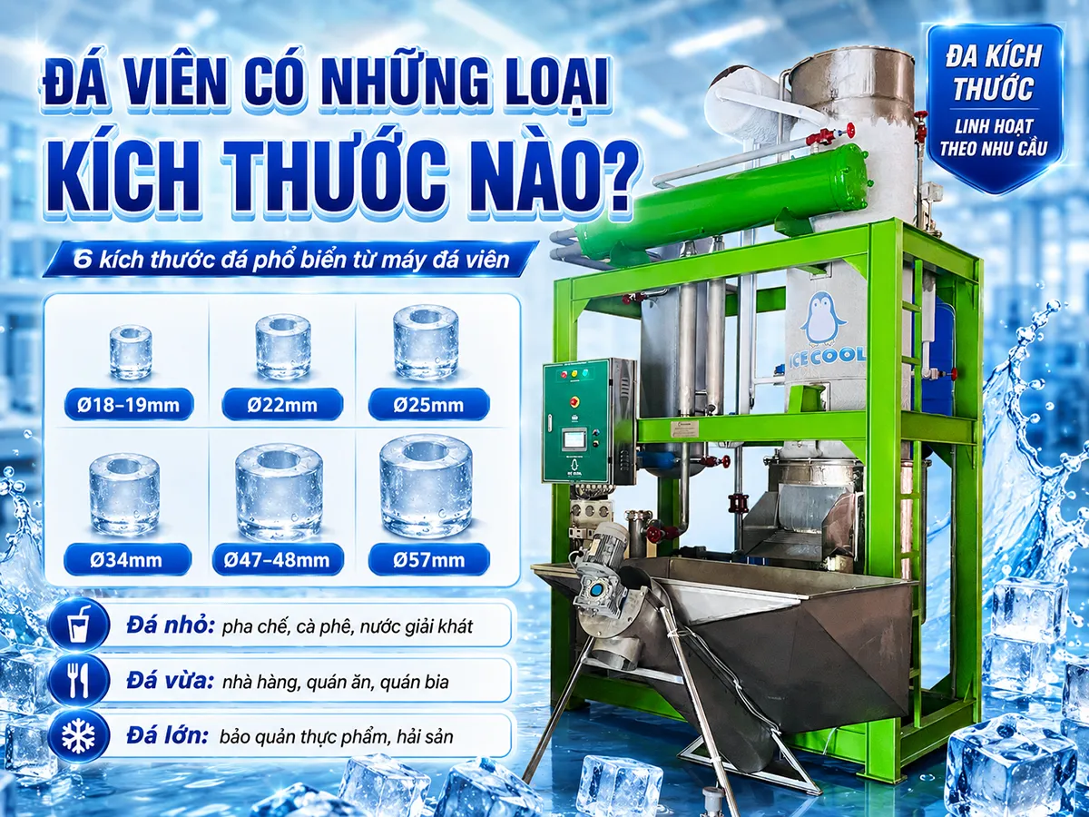 Khi tìm hiểu về ngành đá sạch, nhiều người thường thắc mắc đá viên có những loại kích thước đá nào, bởi mỗi kích thước đá sẽ phù hợp với từng mục đích sử dụng như pha chế đồ uống, phục vụ nhà hàng hoặc bảo quản thực phẩm.