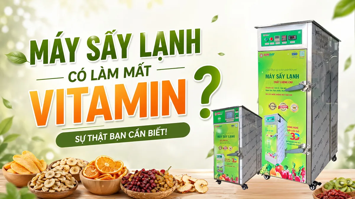 Máy sấy lạnh có làm mất vitamin không còn phụ thuộc vào nhiệt độ và công nghệ sấy được sử dụng.