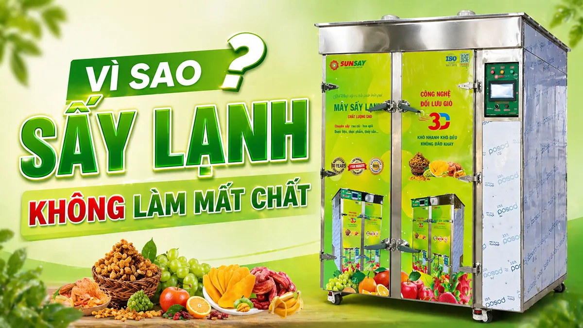 Vì sao sấy lạnh không làm mất chất nằm ở việc kiểm soát nhiệt độ và độ ẩm đúng cách.