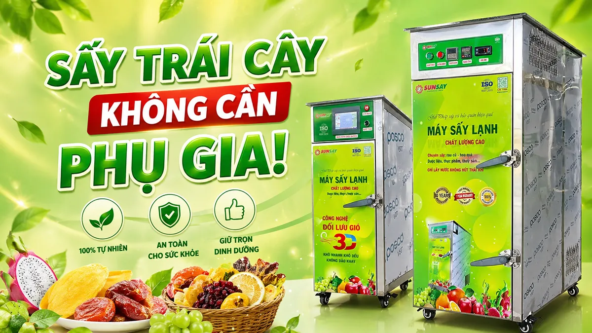 Sấy trái cây không cần phụ gia là cách giữ trọn giá trị tự nhiên và tạo lợi thế cạnh tranh bền vững.