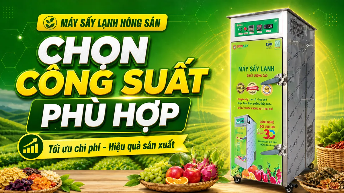 Chọn đúng công suất máy sấy lạnh nông sản giúp bạn tiết kiệm chi phí và tăng gấp đôi hiệu quả sản xuất.