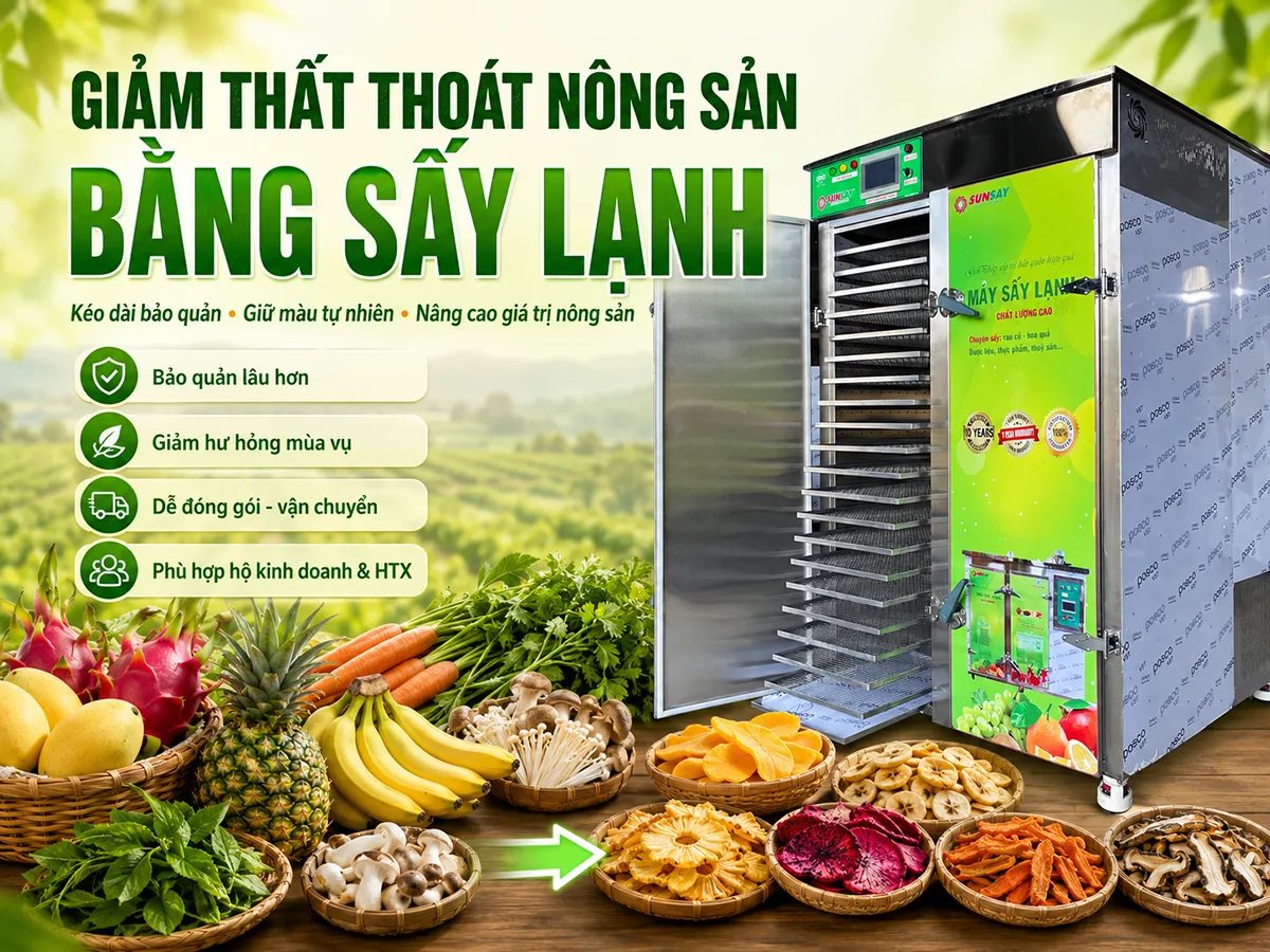Giảm thất thoát nông sản bằng sấy lạnh: giữ màu sắc, giữ hương vị, kéo dài thời gian bảo quản.