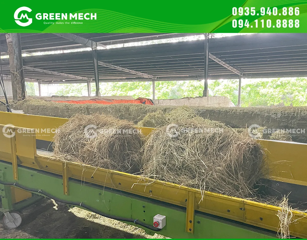 Máy nghiền 2 trục GREEN MECH giúp nghiền rơm thành khúc nhỏ, hỗ trợ quá trình phối trộn nguyên liệu trong chăn nuôi bò sữa.
