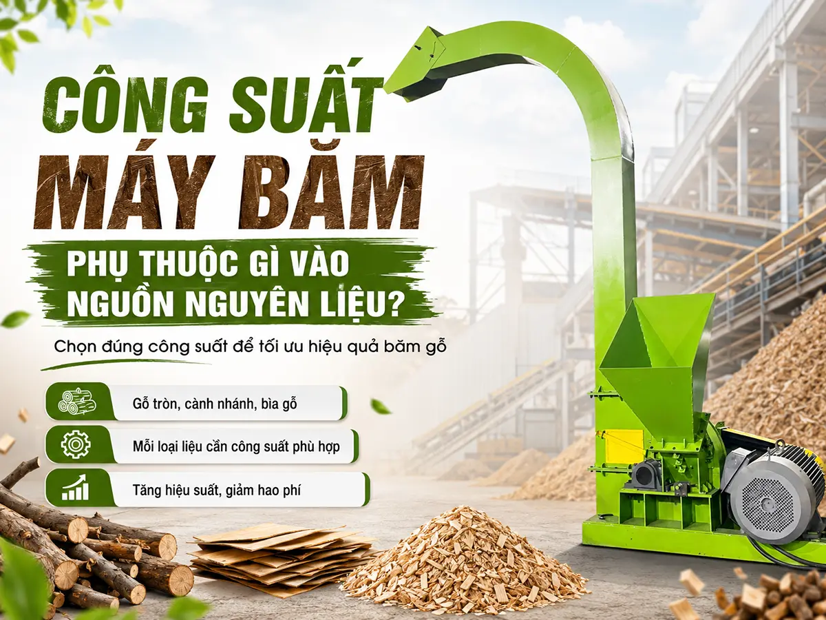 Lựa chọn đúng công suất máy băm theo nguồn nguyên liệu giúp dây chuyền vận hành ổn định và hạn chế lãng phí đầu tư.