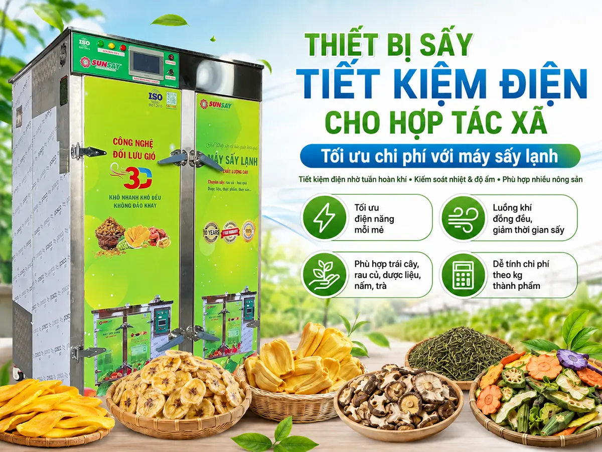 Thiết bị sấy tiết kiệm điện cho hợp tác xã cần được lựa chọn dựa trên sản lượng, nguyên liệu và thời gian vận hành thực tế.