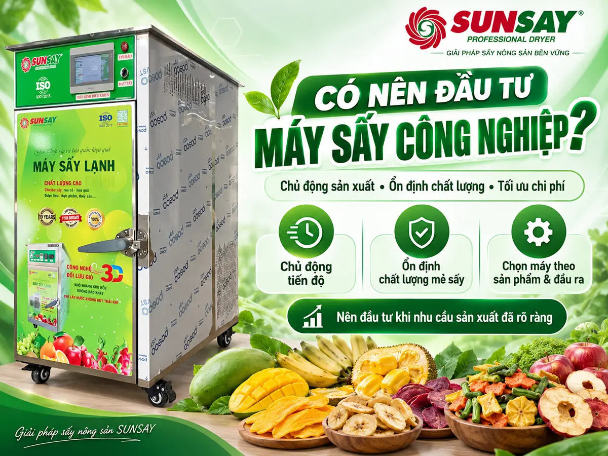 Có nên đầu tư máy sấy công nghiệp? Đánh giá nhu cầu sản xuất và đầu ra trước khi lựa chọn thiết bị.