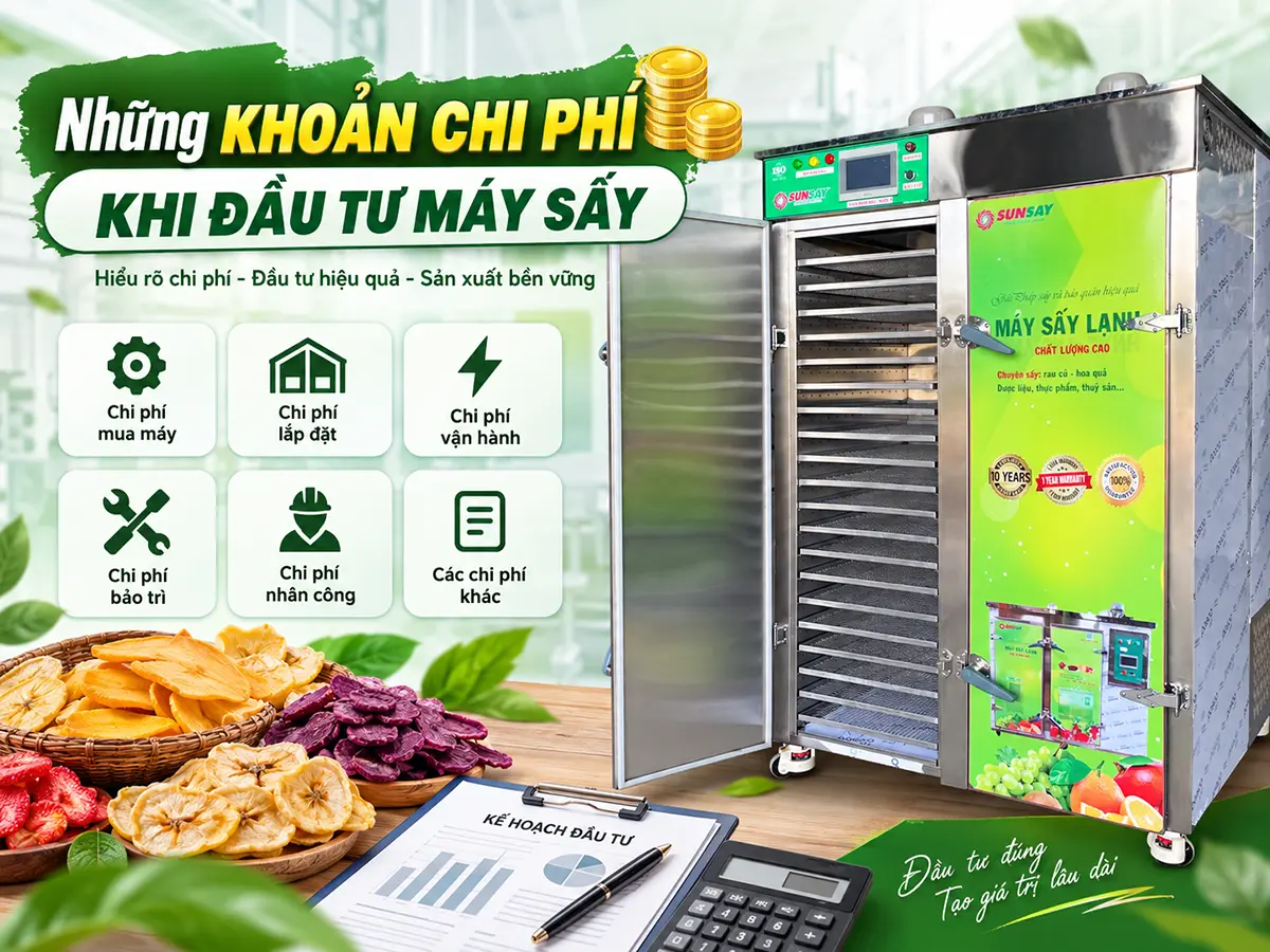 Những khoản chi phí khi đầu tư máy sấy cần tính đủ từ tiền thiết bị đến vốn vận hành ban đầu.